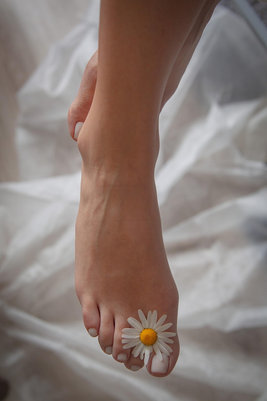 aesthetics, chamomile, body, pedicure, manicure, spa, massage, pedicure, pedicure, pedicure, pedicure, pedicure